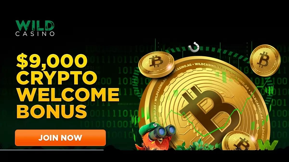 Wild Casino Review 
