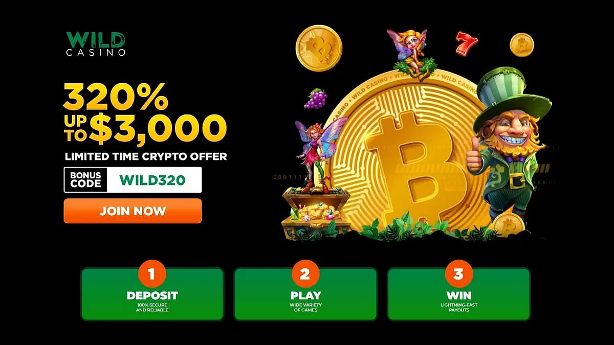 Wild Casino Review