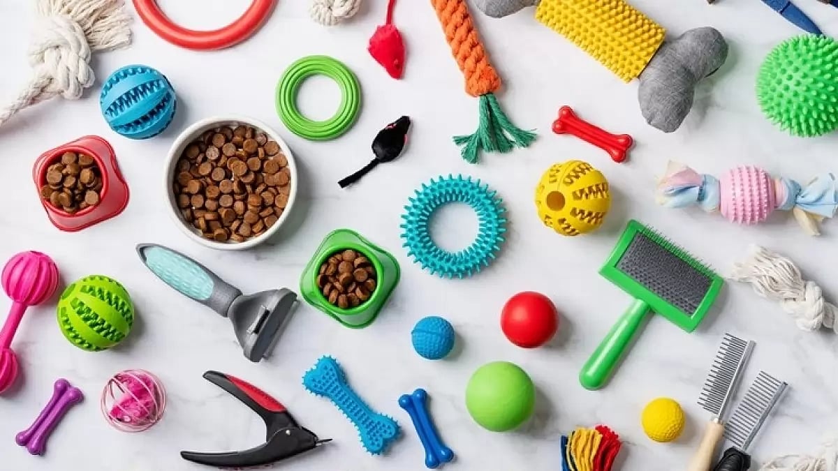 Amazon Great Indian Sale: Best Deals On Pet Food And Supplies