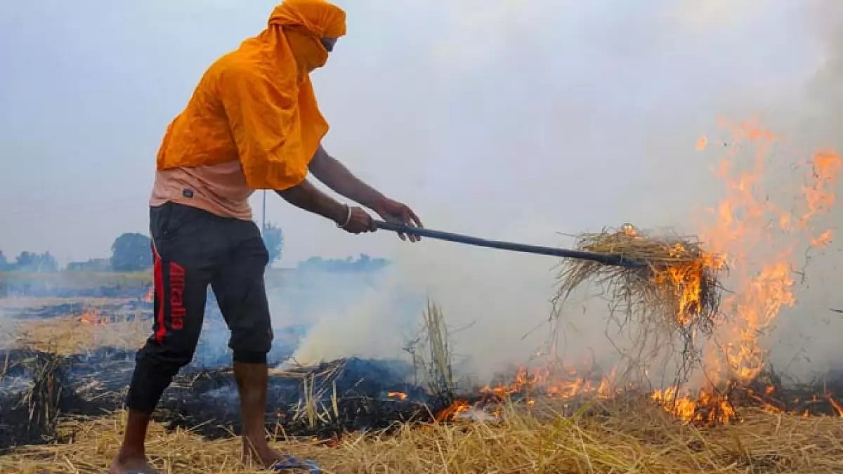 Stubble burning in Punjab