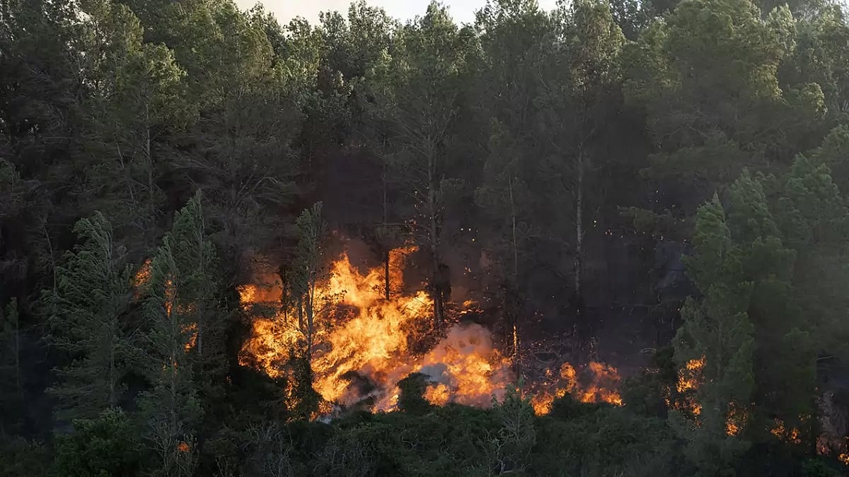 Spain Wildfire