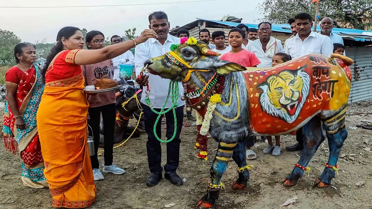 Goverdhan puja at Goverdhan dham