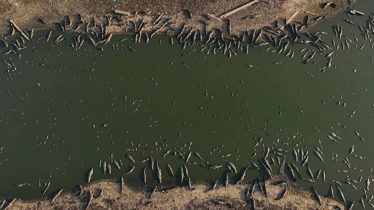 Brazil Wetlands Fire