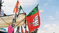 Different Strokes: The impact of state elections on national politics is largely hyped by the media