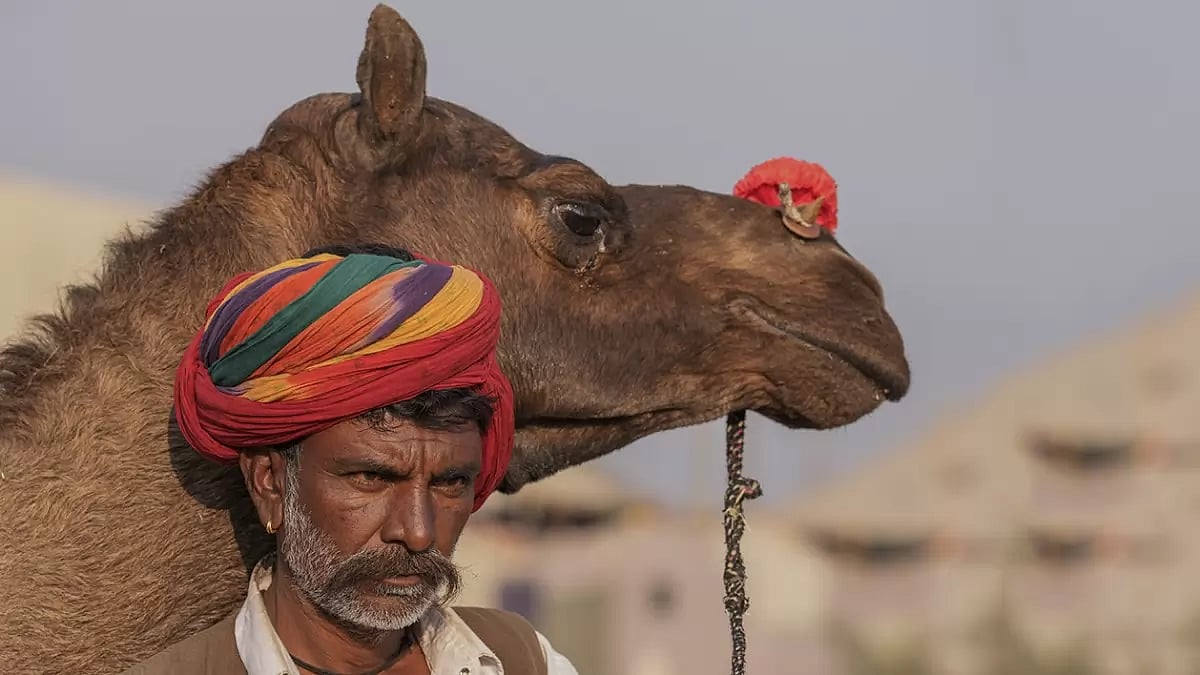 Pushkar Fair 2023