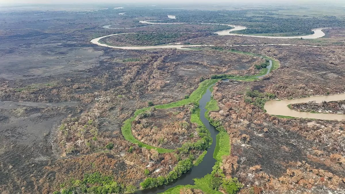 Brazil Wetlands Wildfires