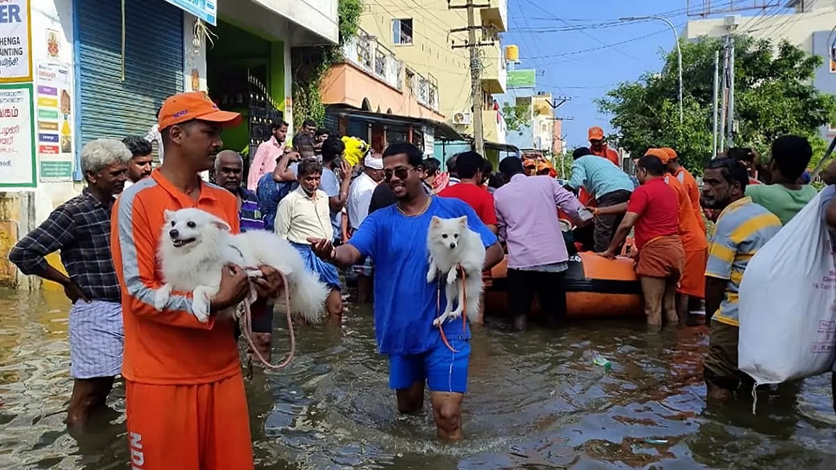 Cyclone Michaung