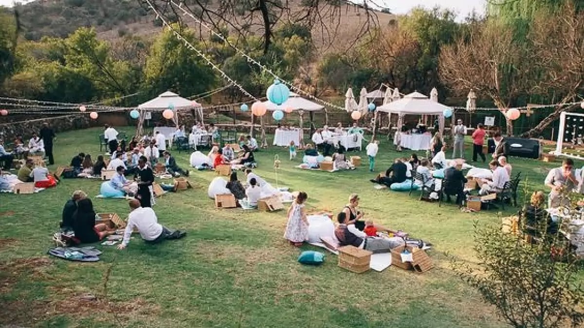New Year picnic spots