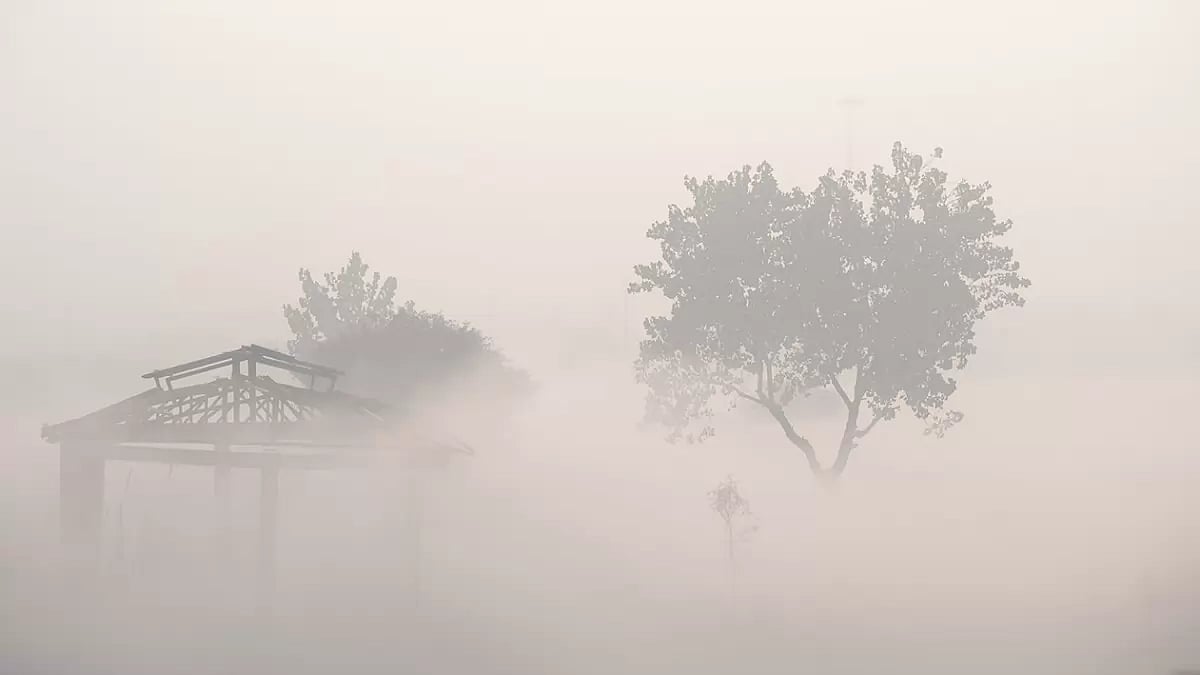Weather: Fog in Greater Noida