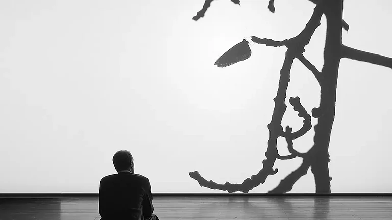 Installation still from the film The Scene of the Crime by Amar Kanwar - null