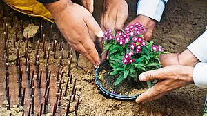 Farmers sow flowers next to the iron rails placed by the Delhi Police in Ghazipur (Delhi-UP border) in 2021
