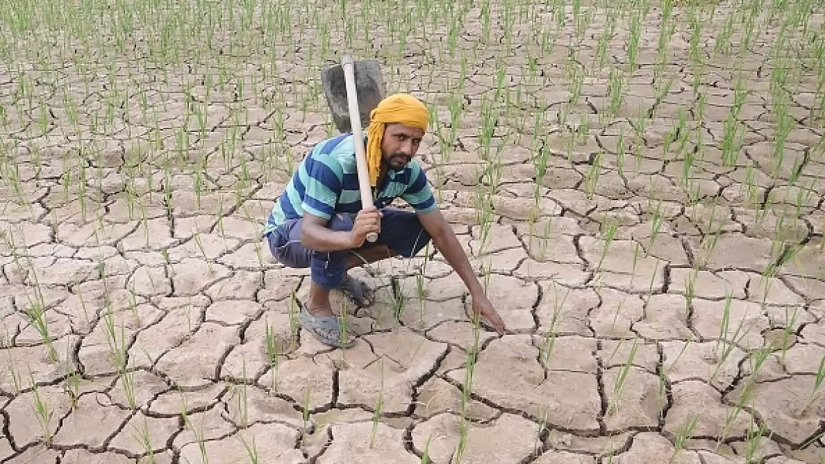 A farmer shows his dry and cracked paddy field due to the late arrival of monsoon in Punjab.