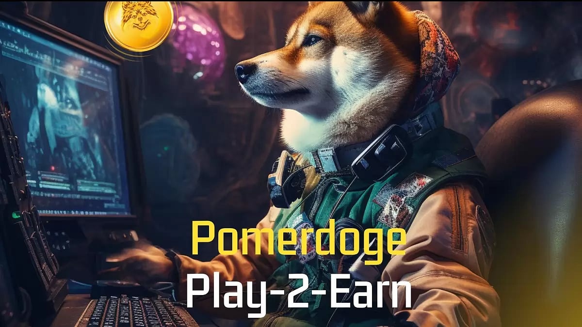Pomerdoge 