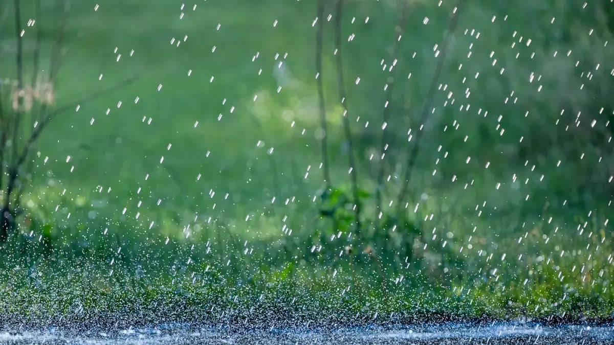 Rain songs