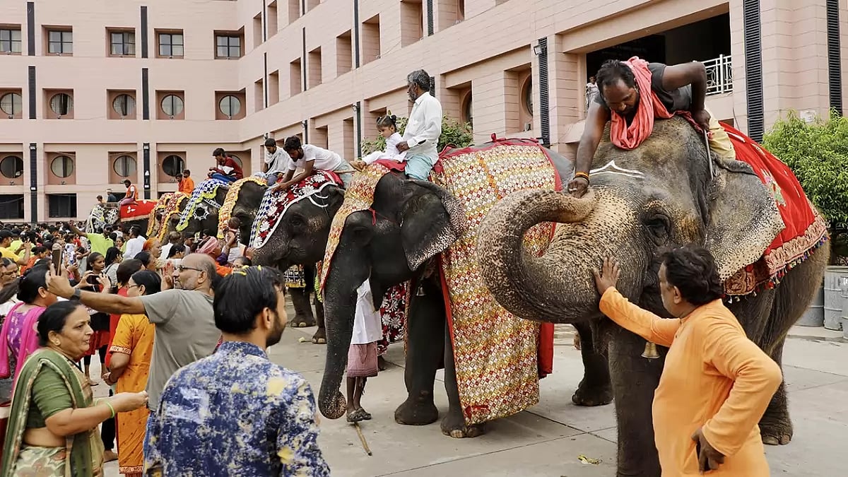 Rath Yatra