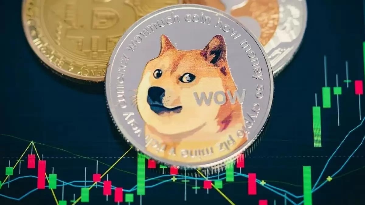 SHIBA INU 