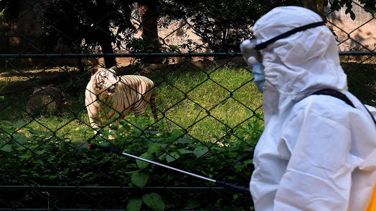 COVID-19: Alipore Zoo Takes Measures To Prevent Coronavirus Spread