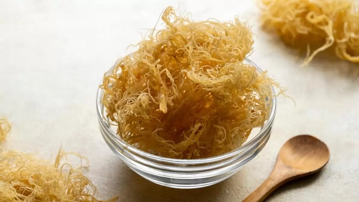 Sea Moss