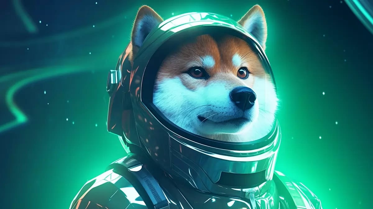 Shiba Inu 