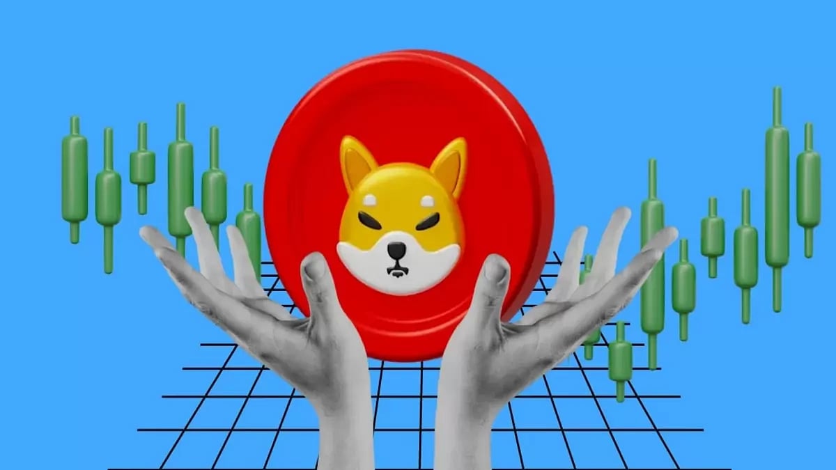 Shiba Inu 