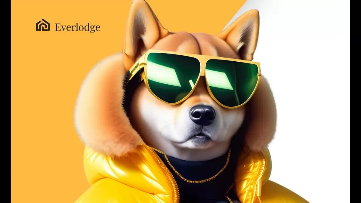 Shiba Inu 