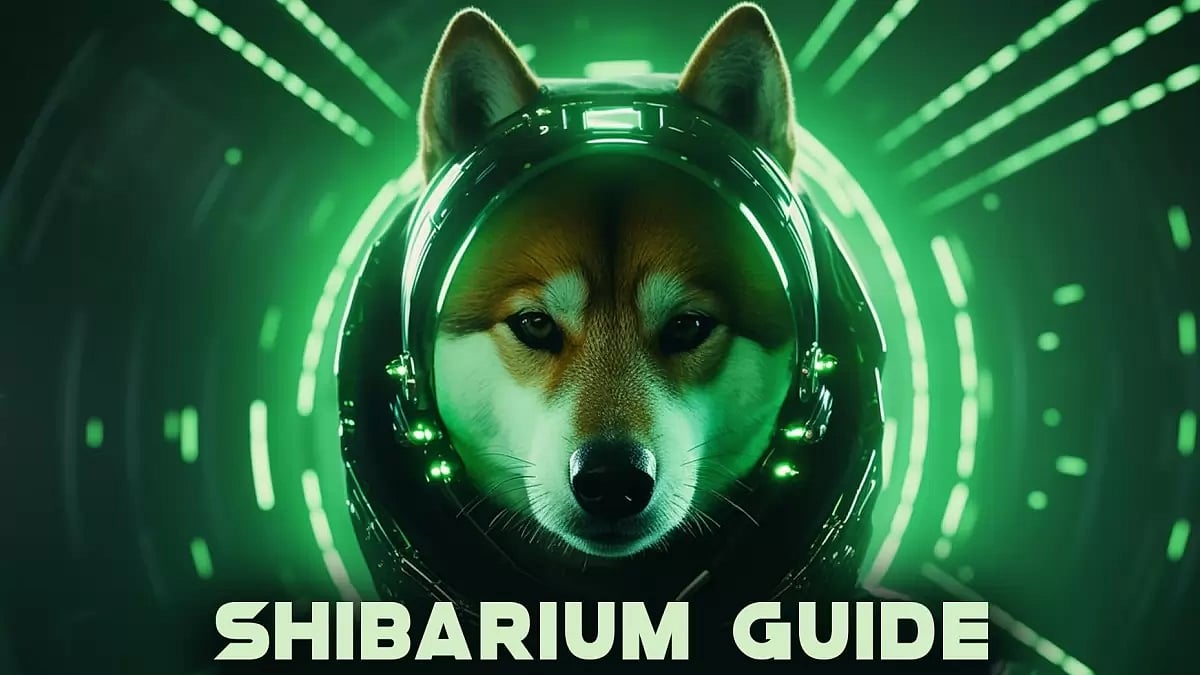 Shibarium