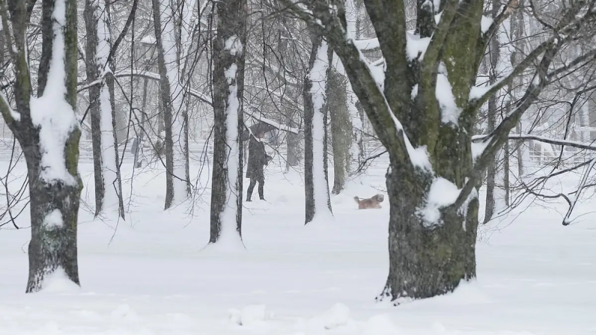 Snowfall