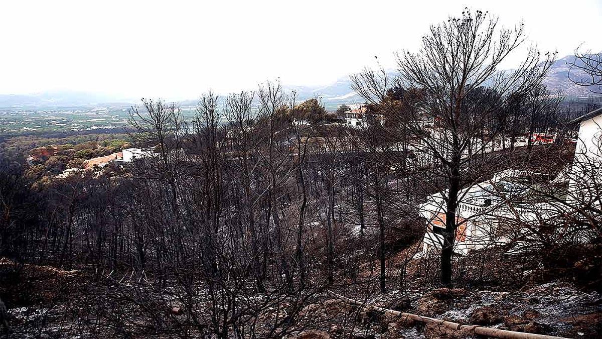 Spain Wildfires: Fires blaze in the region as heatwave continues