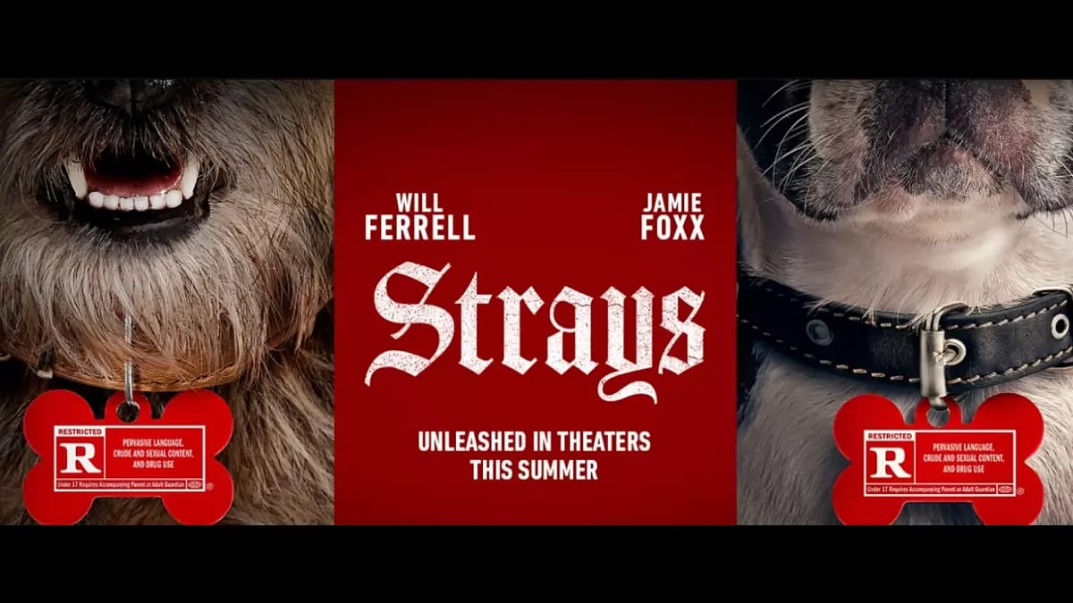 Strays