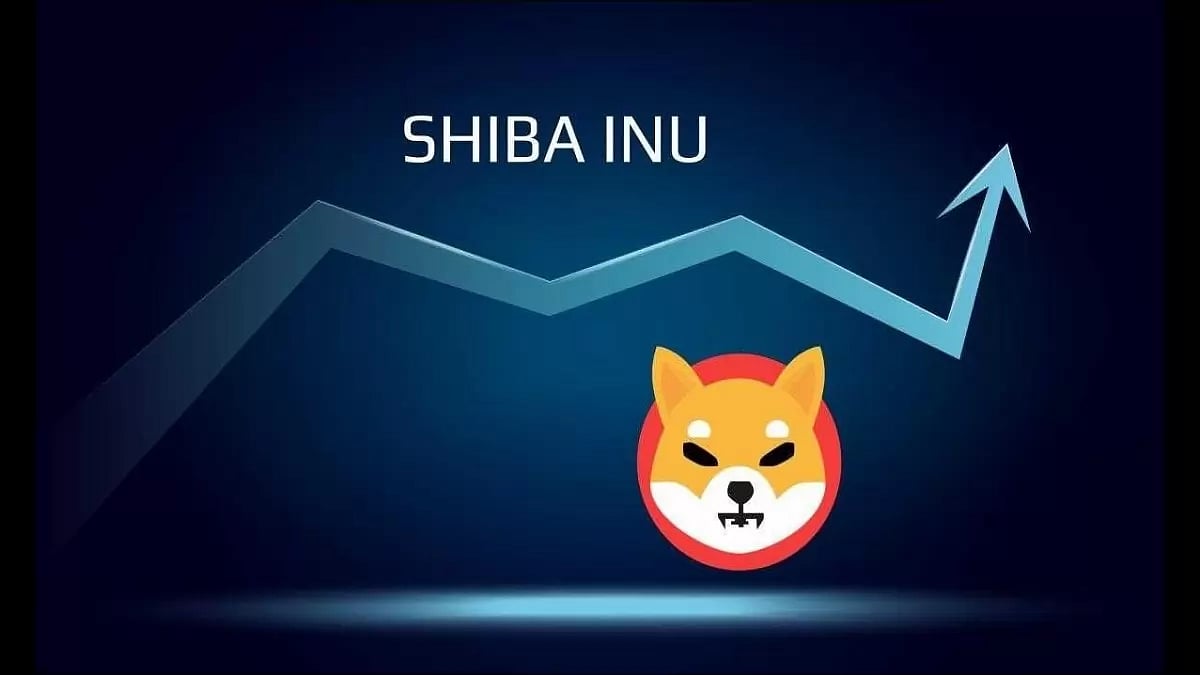  Shiba Inu