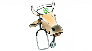 The Age Of WhatsApp University And A Political Animal Called Cow