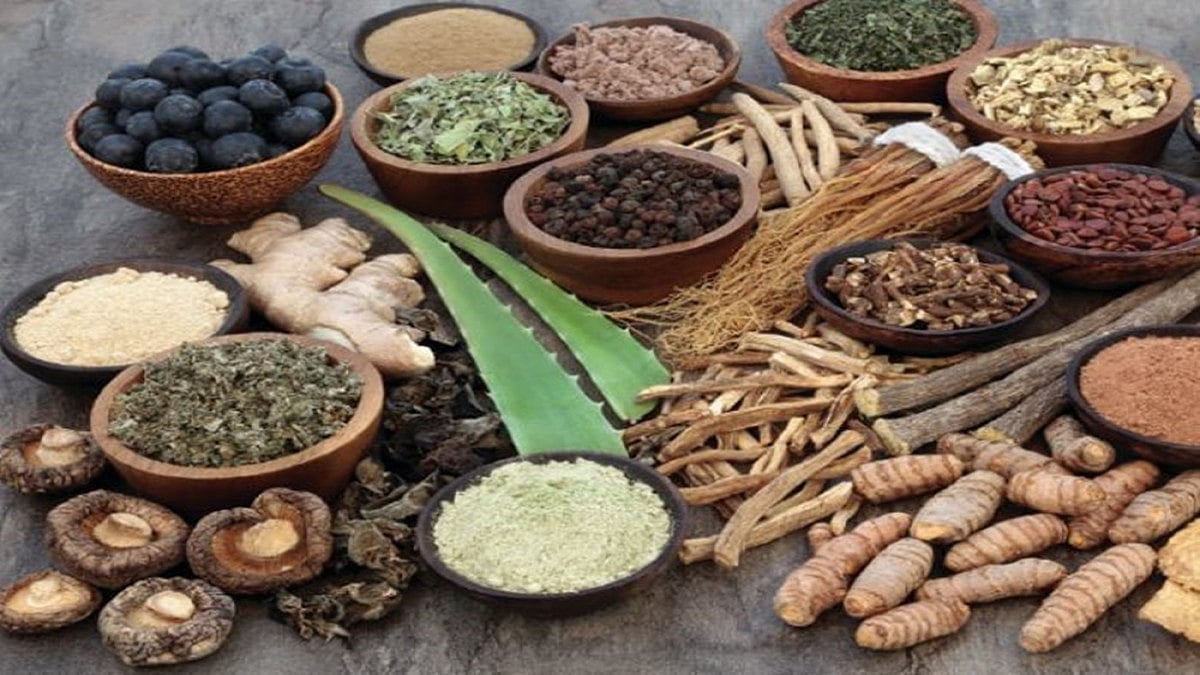 Gorakhpur Will Soon Emerge As Ayurveda Tourism Hub: UP Minister Jaiveer Singh