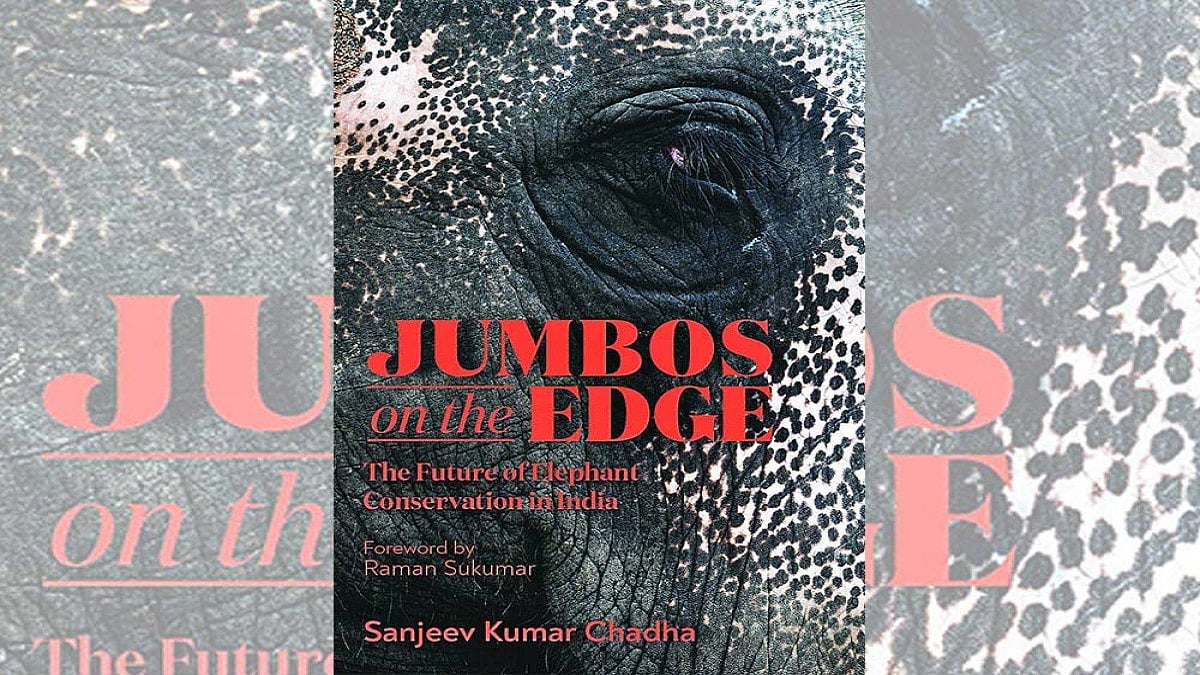 An Elephantine Problem Laid Out In Stark Reality