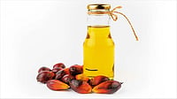 What Oil Is Healthy And What’s Not: Choose Wisely What Oil Is Healthy And What’s Not: Choose Wisely