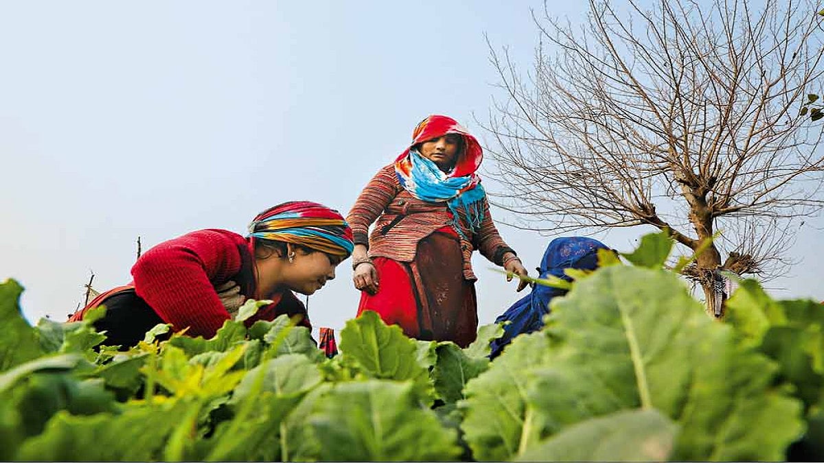 The Invisible Farmers