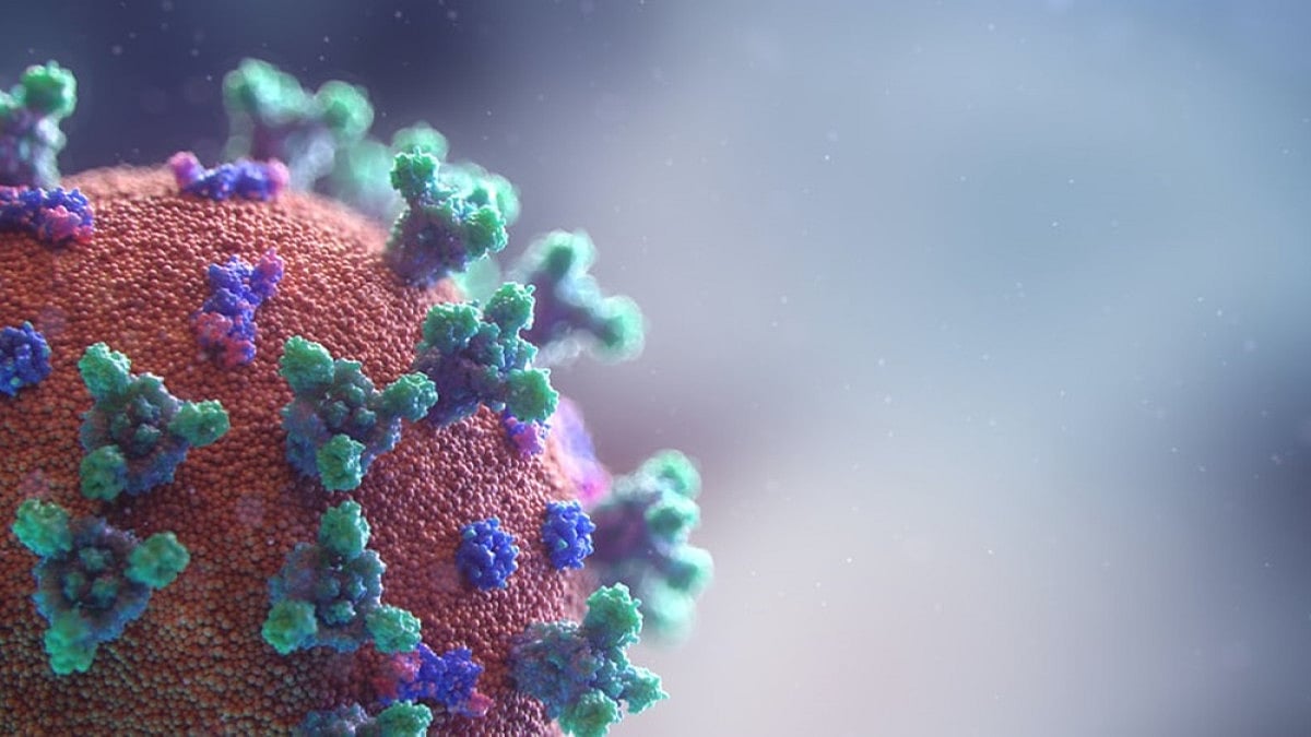 Covid-19 Immunity After Infection: Delta Vs Omicron