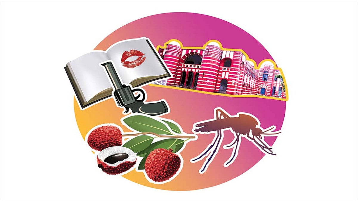 Muzaffarpur Diary