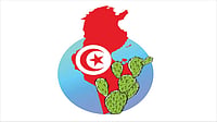 Tunisia Diary: Did Hannibal Eat Hindi And Wear a Sari?