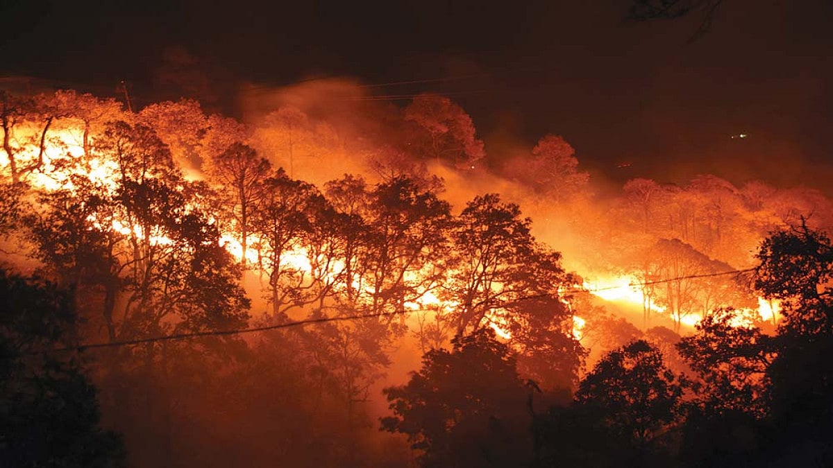 Wildfires Keep Pockets Warm