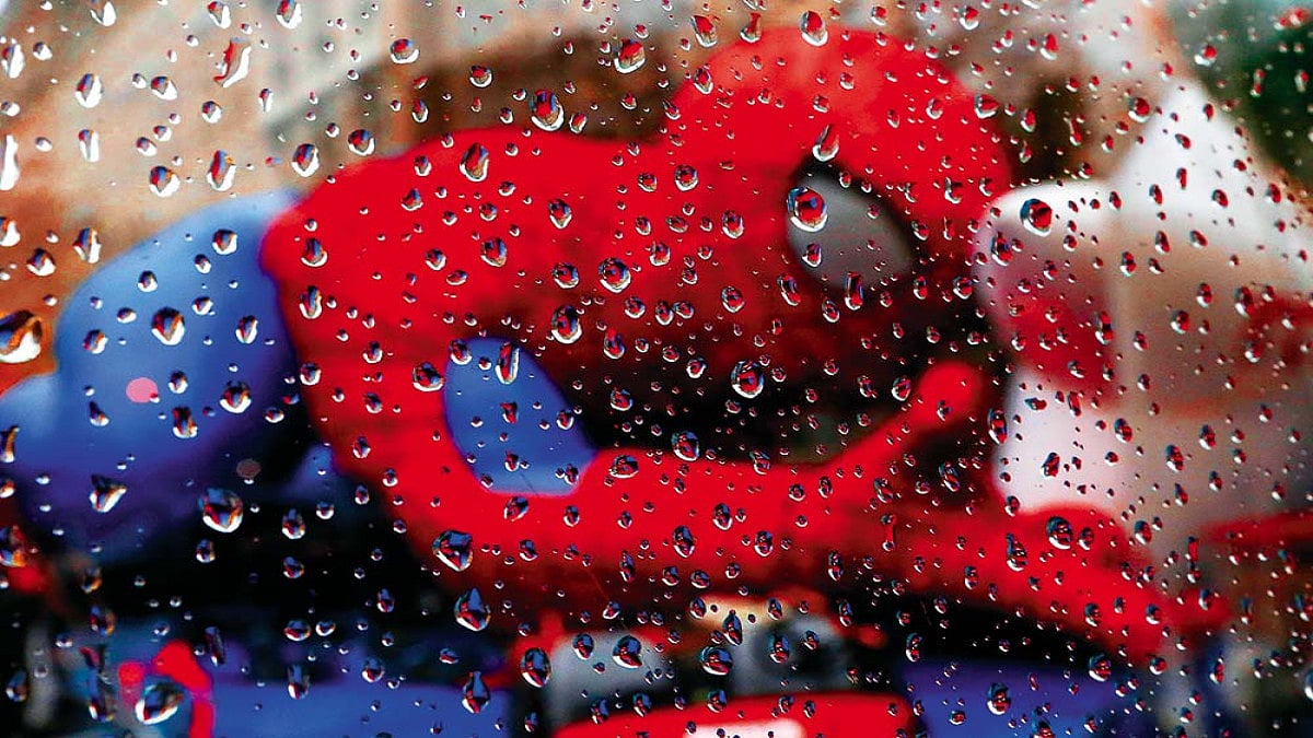 In The Beginning, There Was The Spider