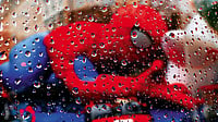 In The Beginning, There Was The Spider
