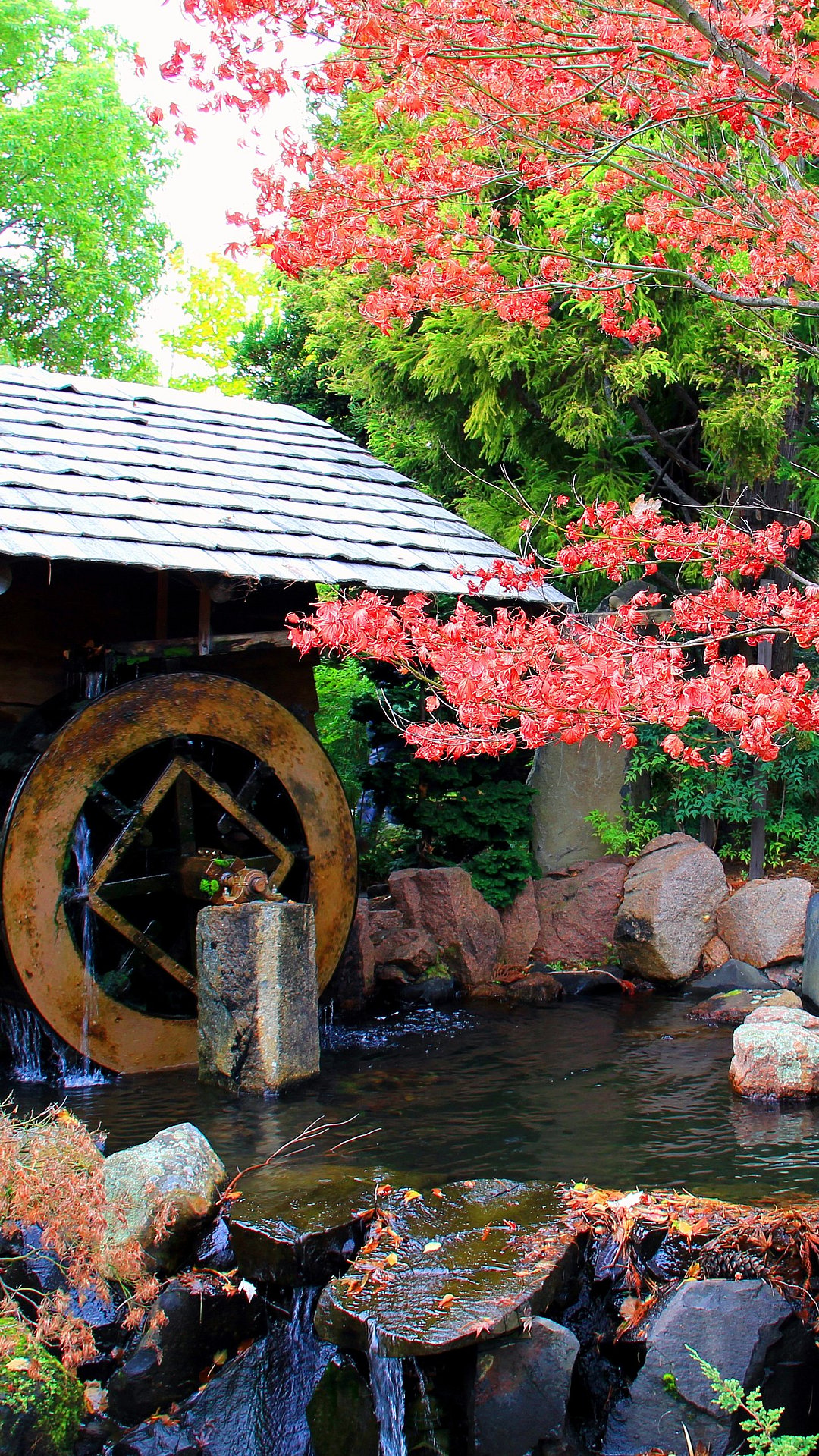 Royal Tasmanian Botanical Gardens
