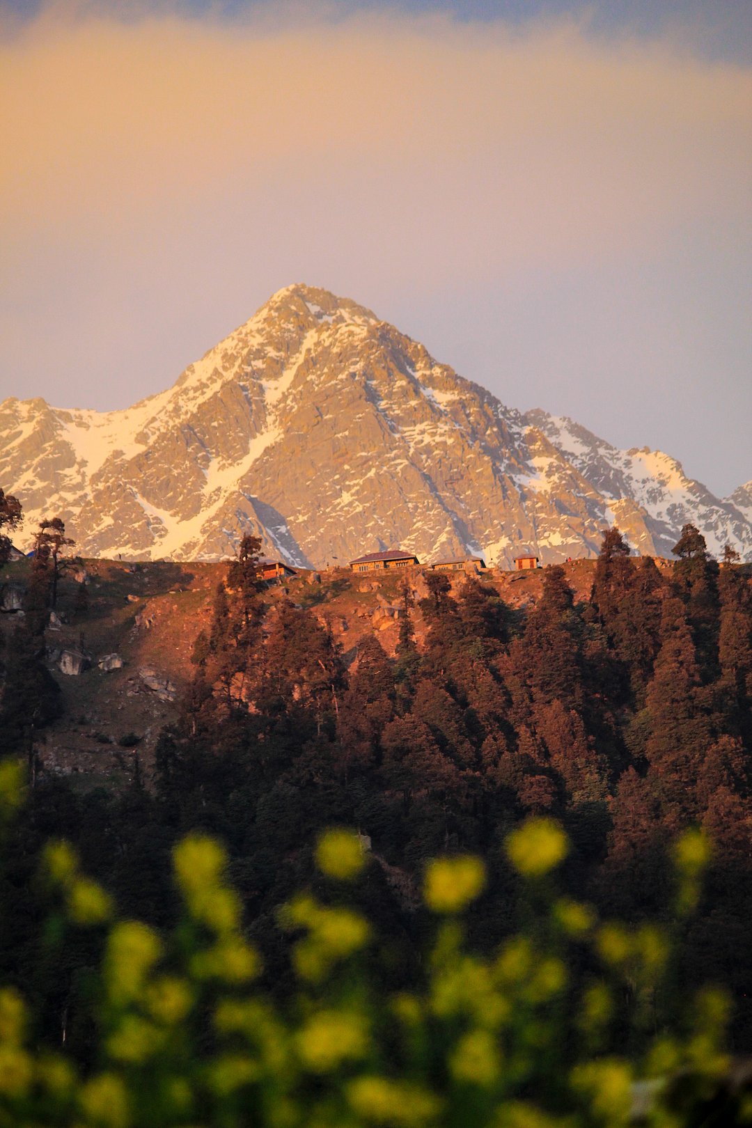 Along the Triund Trek in the Himalayas