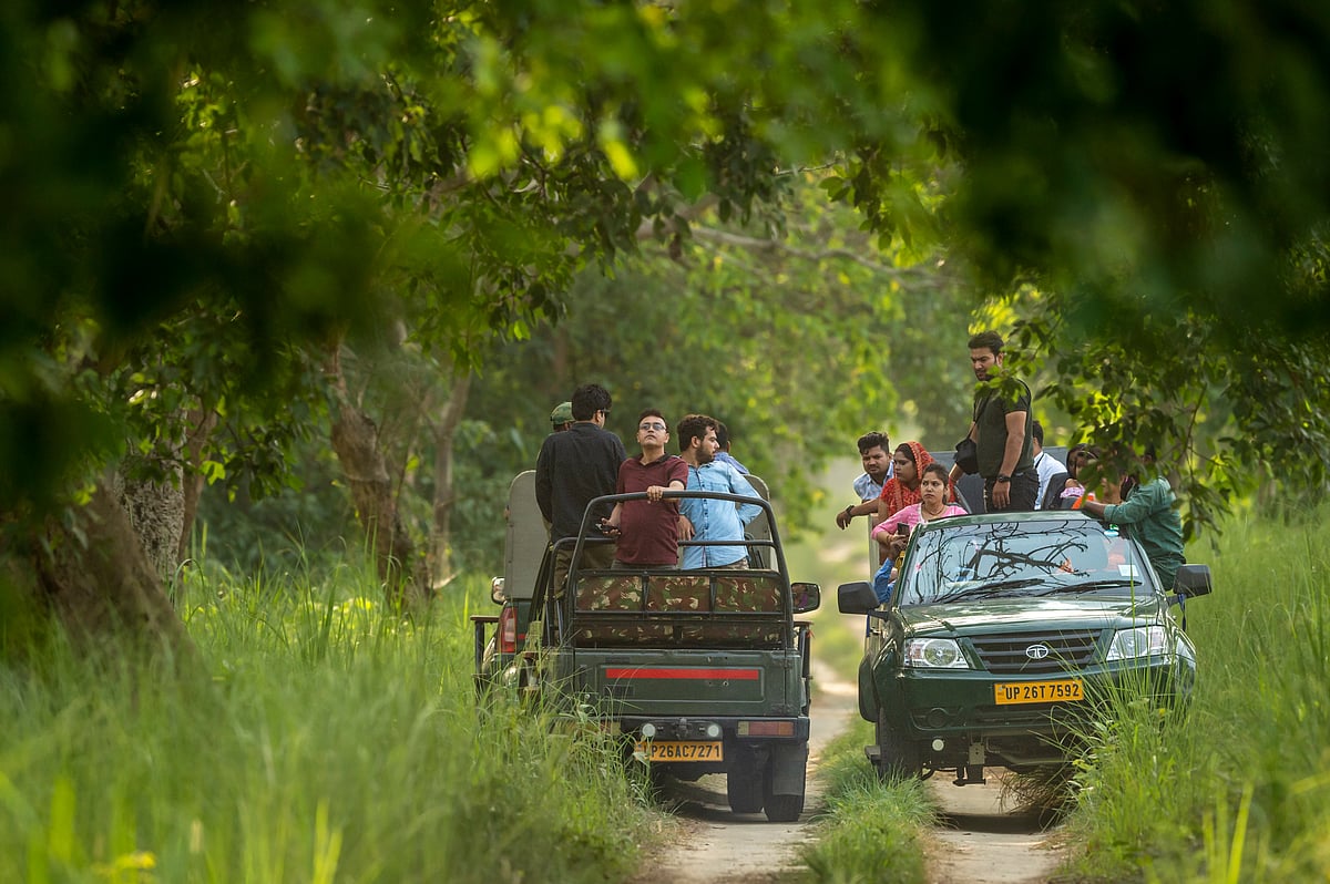 Shutterstock : From dense forests to open grasslands, India’s tiger reserves are alive with adventure
