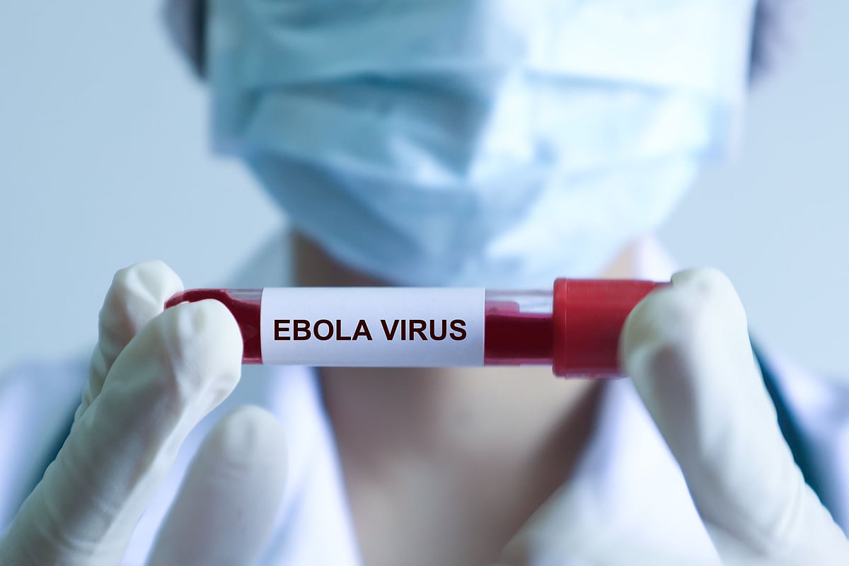 Shutterstock : The WHO stresses that the risk remains low on a global level