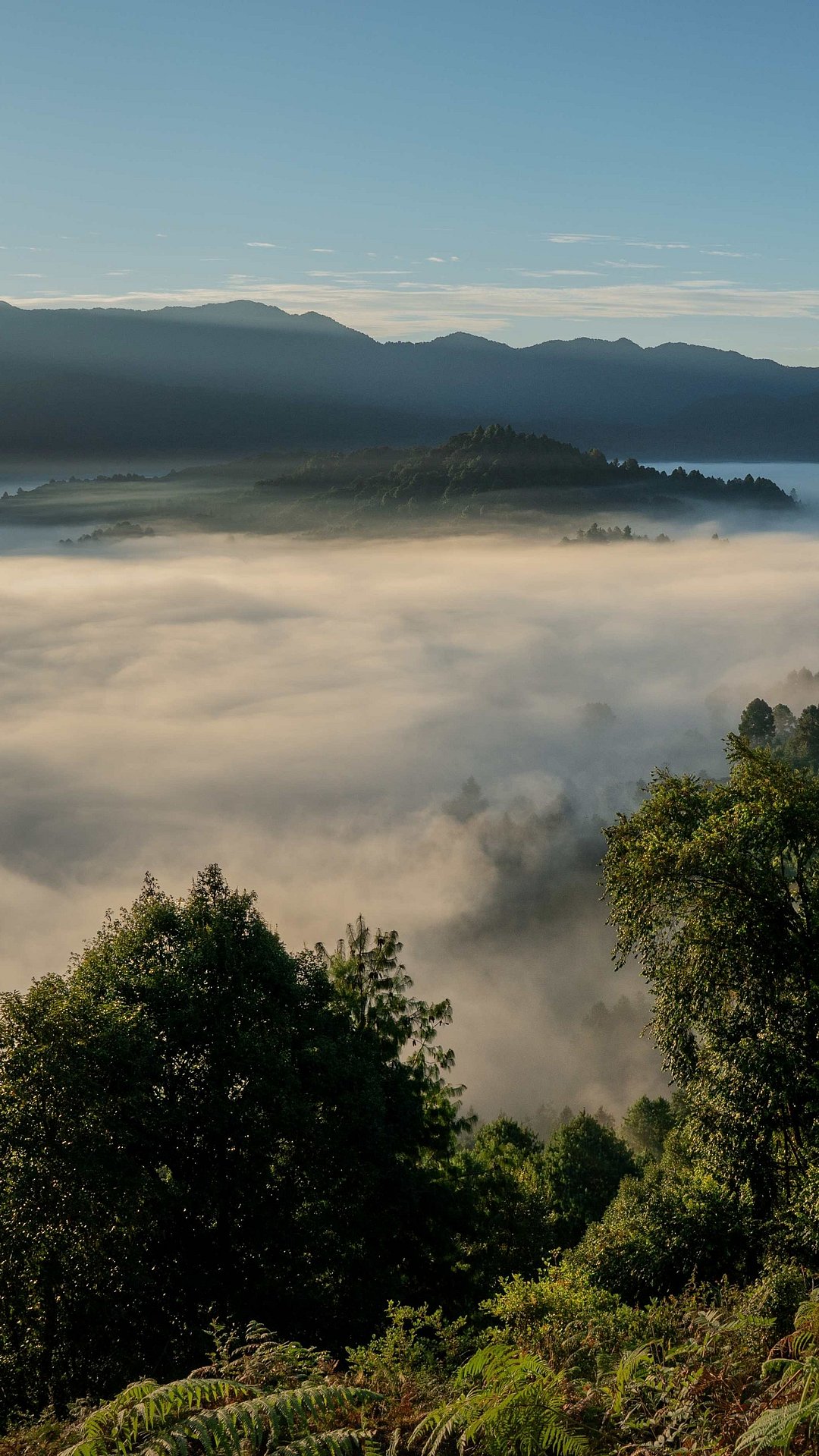 Ziro Valley
