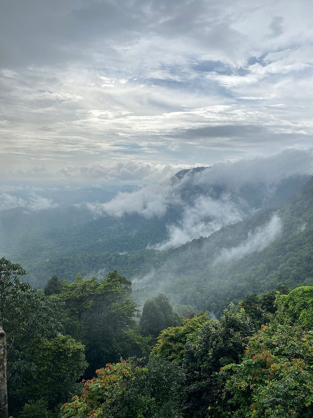 A scenic view of Agumbe in Karnataka