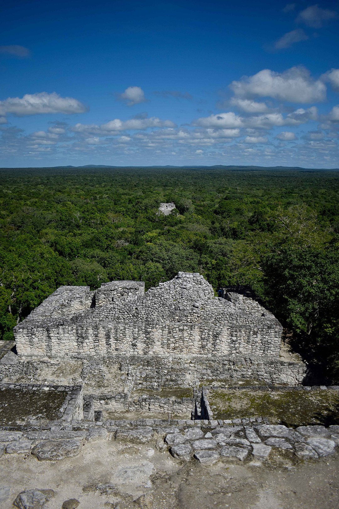 Calakmul Biosphere Reserve, Campeche