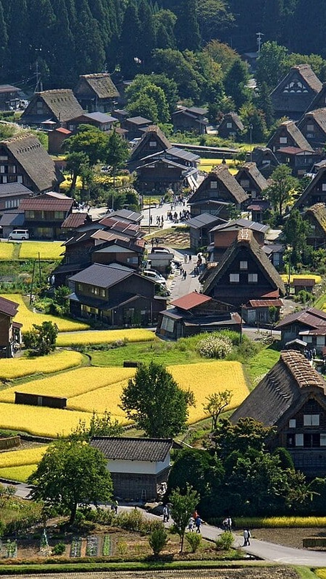 Shirakawa-go