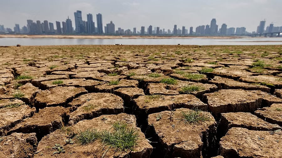 Drought 2026: ಇನ್ನೂ 23 ತಾಲೂಕು ಬರಪೀಡಿತ ಪಟ್ಟಿಗೆ ಸೇರಿಸಿದ ರಾಜ್ಯ ಸರ್ಕಾರ